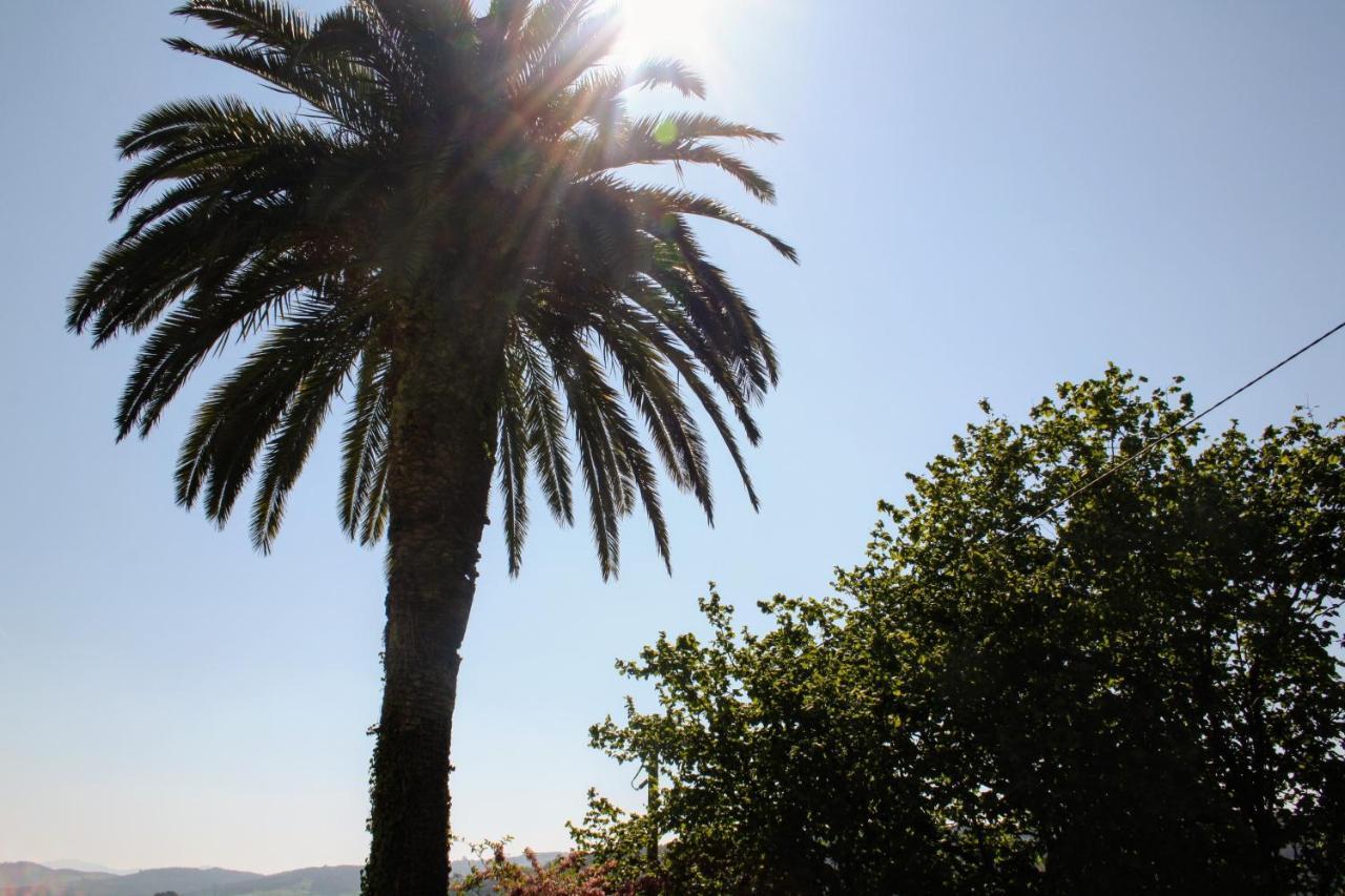 Casa La Palmera Gormazo Luaran gambar