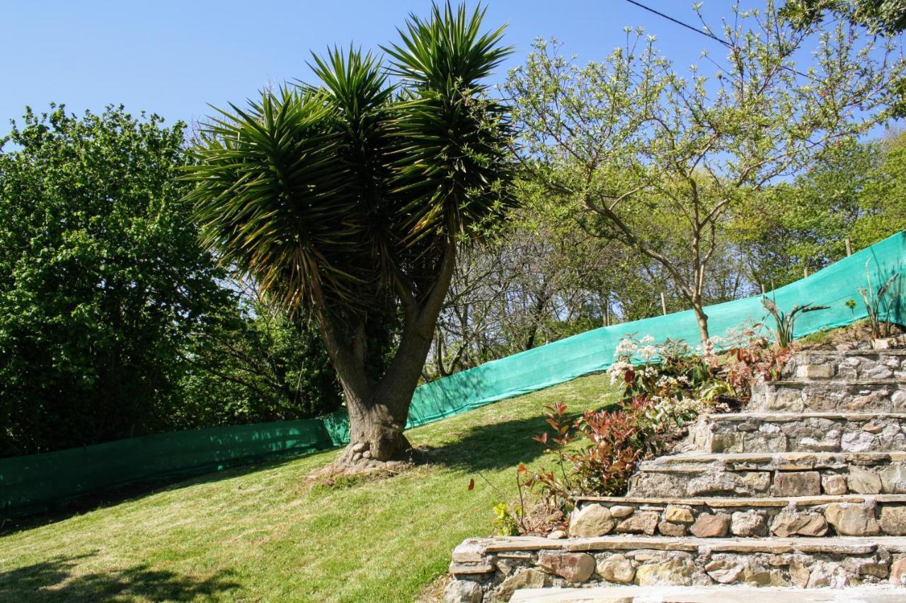 Casa La Palmera Gormazo Luaran gambar